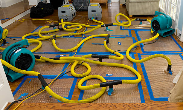 Professional Water Damage Restoration technician working in Effingham, SC